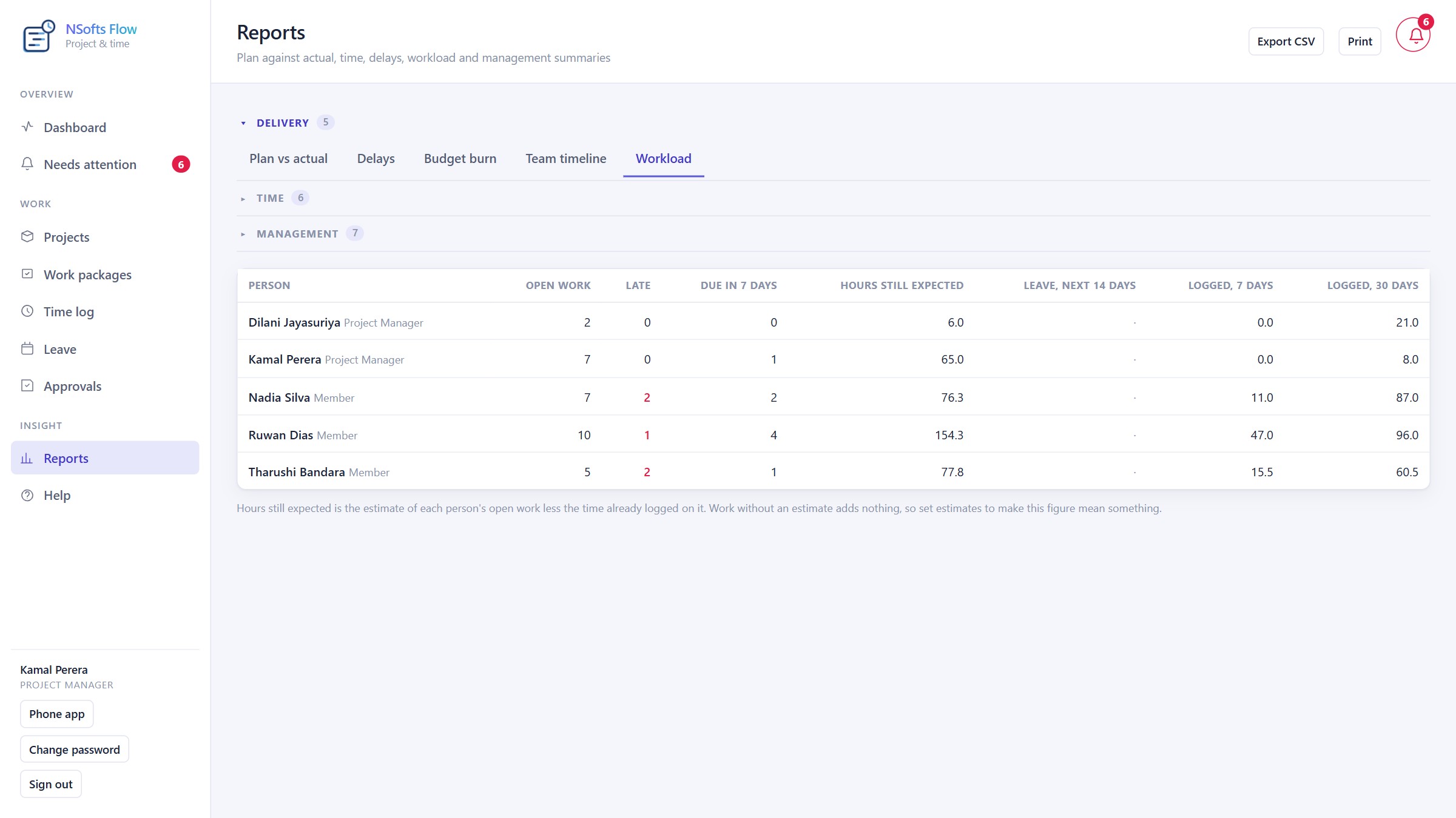 NSofts Flow workload report
